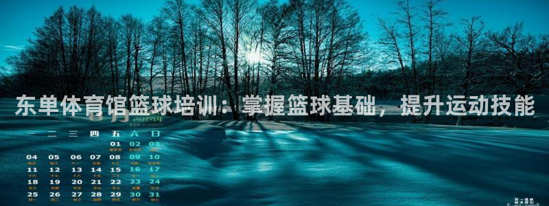极悦平台官网入口网址：东单体育馆篮球培训：掌握篮球基
