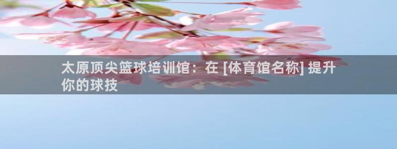 极悦平台注册失败如何解决问题：太原顶尖篮球培训馆：在