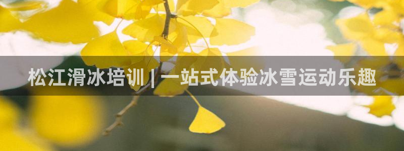 极悦平台官网登录入口网址查询：松江滑冰培训 | 一站