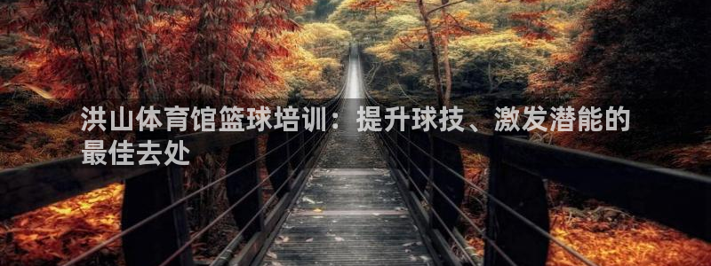 极悦官网登录入口网址：洪山体育馆篮球培训：提升球技、