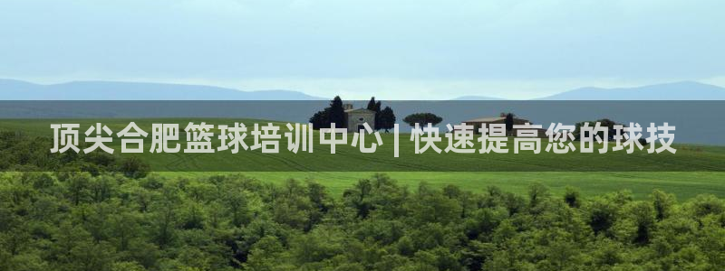 极悦平台非7O777：顶尖合肥篮球培训中心 | 快速