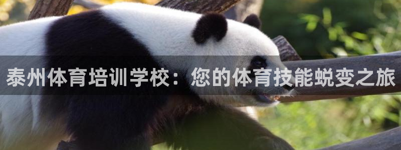 极悦平台是干什么的软件：泰州体育培训学校：您的体育技