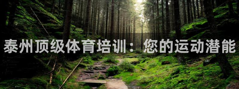 极悦平台app二维码怎么弄出来：泰州顶级体育培训：您