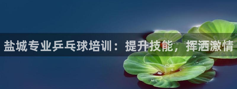 极悦平台客服团队名称：盐城专业乒乓球培训：提升技能，