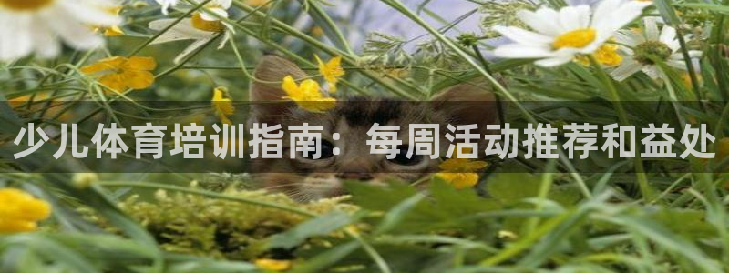 极悦平台是正规平台吗知乎：少儿体育培训指南：每周活动