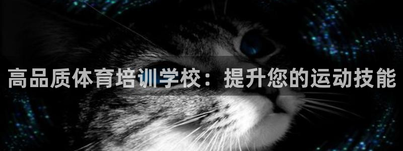 极悦平台注册：高品质体育培训学校：提升您的运动技能