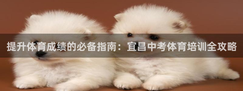 极悦平台注册用户名格式错误：提升体育成绩的必备指南：