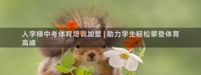 极悦娱乐创始人背景故事是什么：人字梯中考体育培训加盟