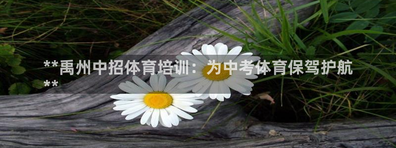 极悦娱乐的背景和历史背景：**禹州中招体育培训：为中