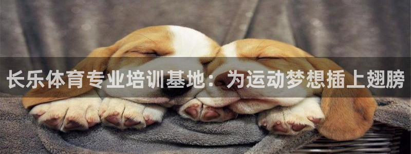 极悦平台注册流程详解图：长乐体育专业培训基地：为运动