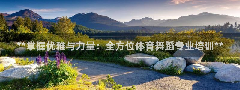 极悦平台是正规平台吗是真的吗：**掌握优雅与力量：全