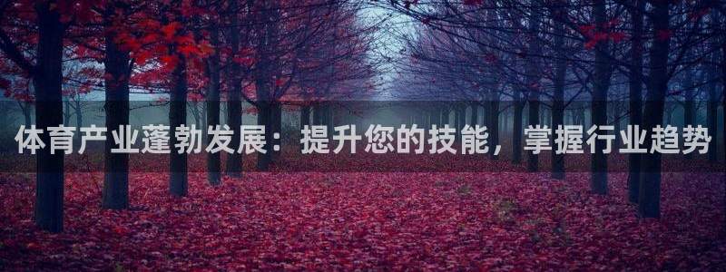 极悦平台注册流程：体育产业蓬勃发展：提升您的技能，掌