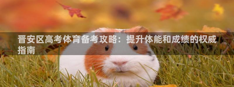 极悦平台股东有哪些：晋安区高考体育备考攻略：提升体能