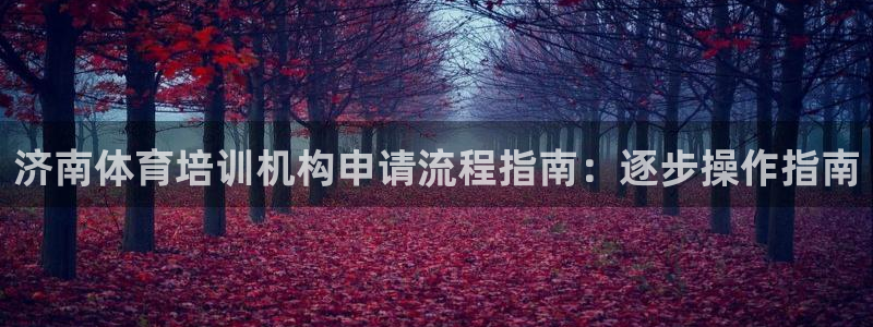 极悦娱乐创始人背景故事：济南体育培训机构申请流程指南