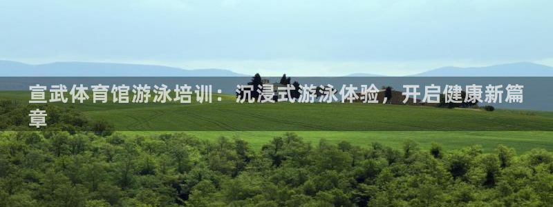 极悦娱乐代理多少钱一个月：宣武体育馆游泳培训：沉浸式