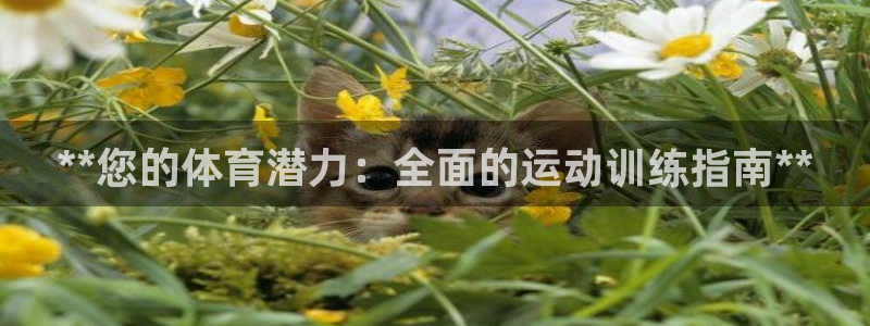 极悦平台登录入口注册：**您的体育潜力：全面的运动训