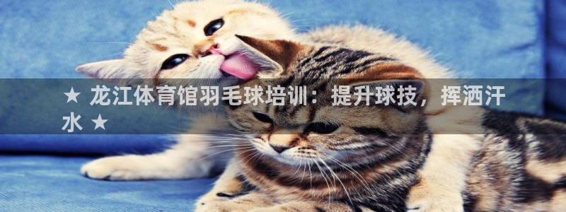 极悦平台注册申请流程详解图：★ 龙江体育馆羽毛球培训