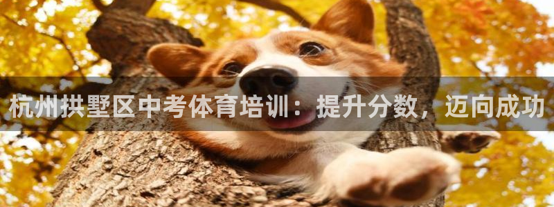 极悦娱乐挂机赚钱是真的吗知乎：杭州拱墅区中考体育培训