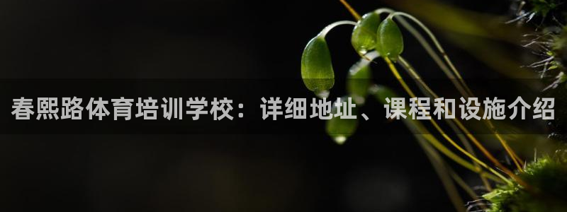 极悦平台官网入口网站：春熙路体育培训学校：详细地址、