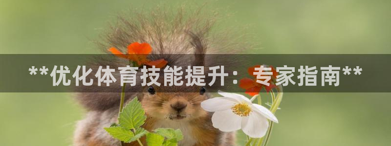 极悦平台是什么：**优化体育技能提升：专家指南**
