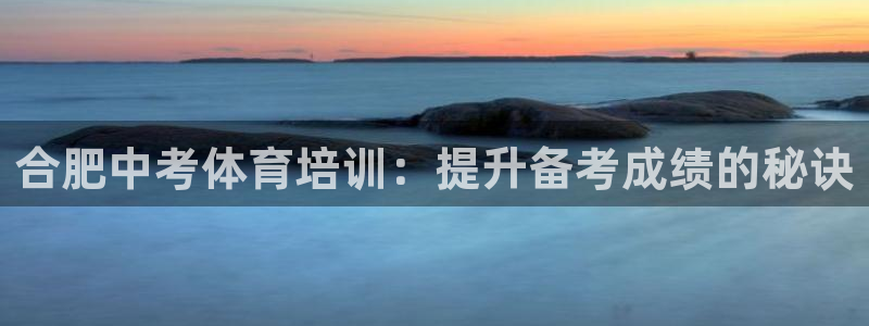 极悦官方网站入口网址