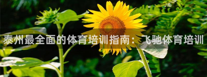 极悦平台注册资金多少：泰州最全面的体育培训指南：飞驰