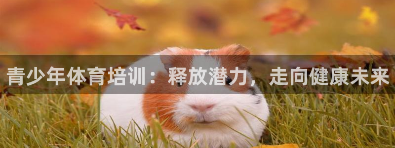 极悦娱乐管理最建议买吗：青少年体育培训：释放潜力，走