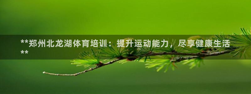 极悦娱乐代理多少钱一个：**郑州北龙湖体育培训：提升