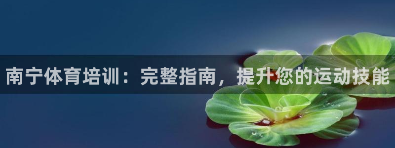 极悦是什么牌子空调的：南宁体育培训：完整指南，提升您