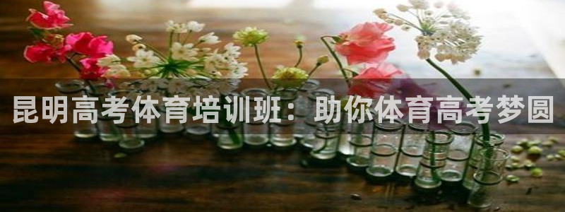 极悦平台注册流程视频：昆明高考体育培训班：助你体育高