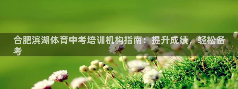 极悦平台注册用户名格式错误：合肥滨湖体育中考培训机构