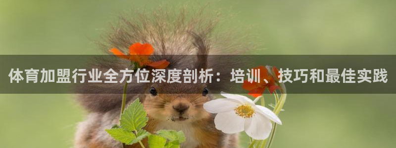 极悦平台官方网址：体育加盟行业全方位深度剖析：培训、