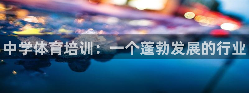 极悦平台代理怎么赚钱的：中学体育培训：一个蓬勃发展的