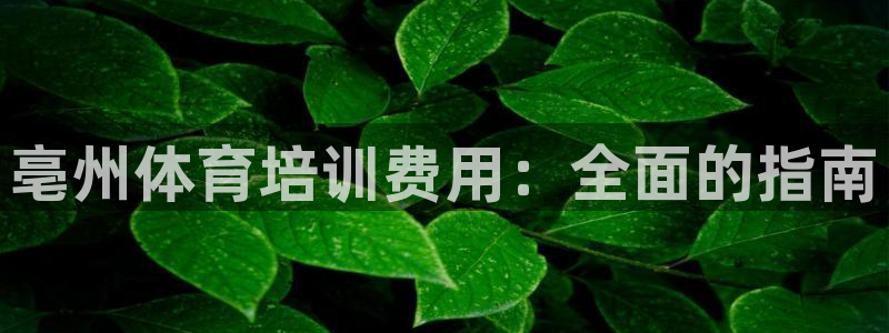 极悦娱乐的创始人背景故事简介：亳州体育培训费用：全面