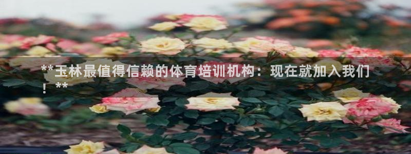 极悦平台注册官方网站下载安卓：**玉林最值得信赖的体