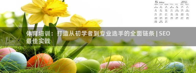 极悦平台官方网站登录网址：体育培训：打造从初学者到专