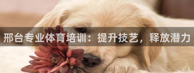 极悦娱乐官网最新版本更新内容是什么：邢台专业体育培训