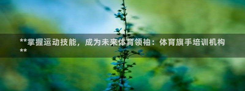 极悦平台注册和登录页面一样吗：**掌握运动技能，成为