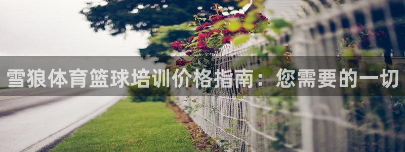 极悦平台代理怎么做的：雪狼体育篮球培训价格指南：您需