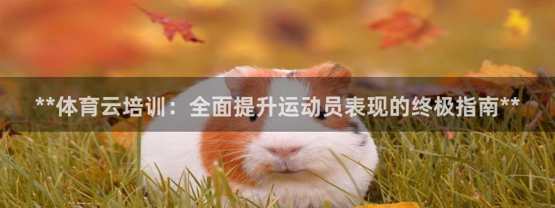 极悦娱乐官网入口网址：**体育云培训：全面提升运动员