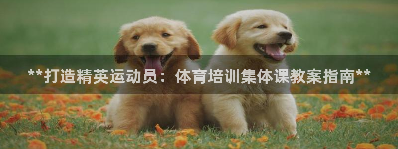 极悦平台官网登录入口手机版：**打造精英运动员：体育