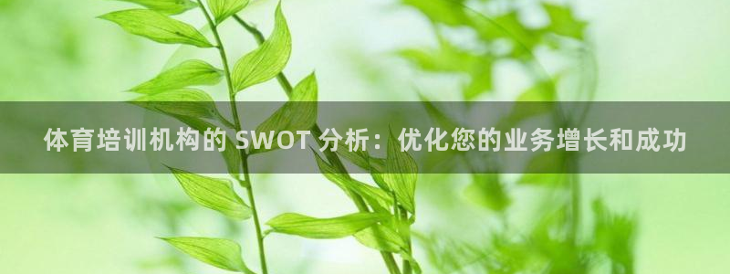极悦官方网站入口：体育培训机构的 SWOT 分析：优