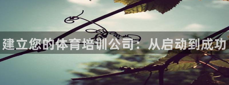 极悦平台使用注意事项有哪些