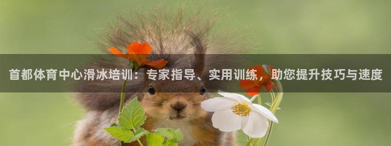 极悦娱乐官网入口网站